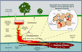 Petroleum Release